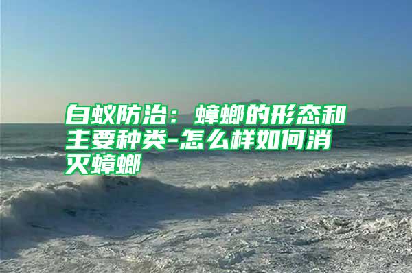 白蟻防治:蟑螂的形態(tài)和主要種類-怎么樣如何消滅蟑螂