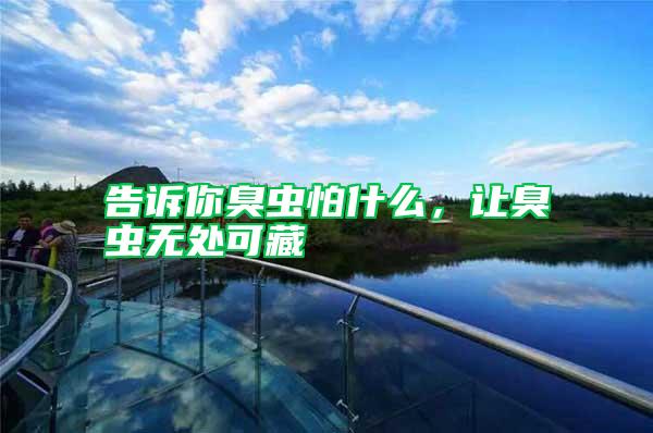 告訴你臭蟲(chóng)怕什么,讓臭蟲(chóng)無(wú)處可藏