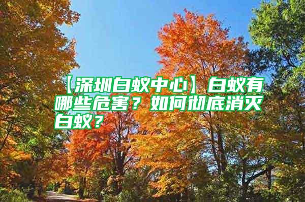 【深圳白蟻中心】白蟻有哪些危害？如何徹底消滅白蟻？