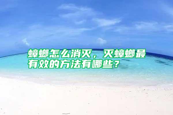 蟑螂怎么消滅，滅蟑螂最有效的方法有哪些？