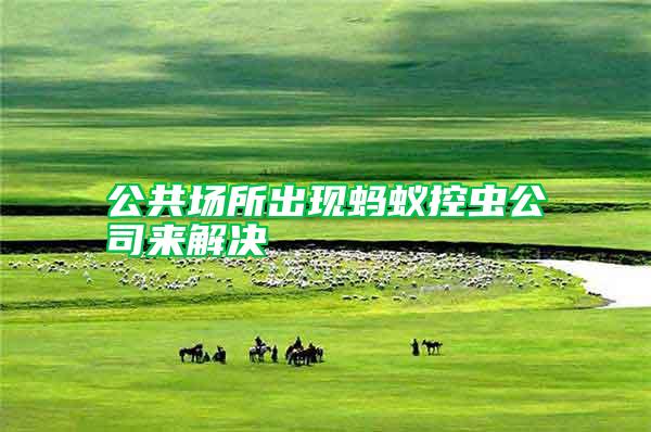 公共場所出現(xiàn)螞蟻控蟲公司來解決