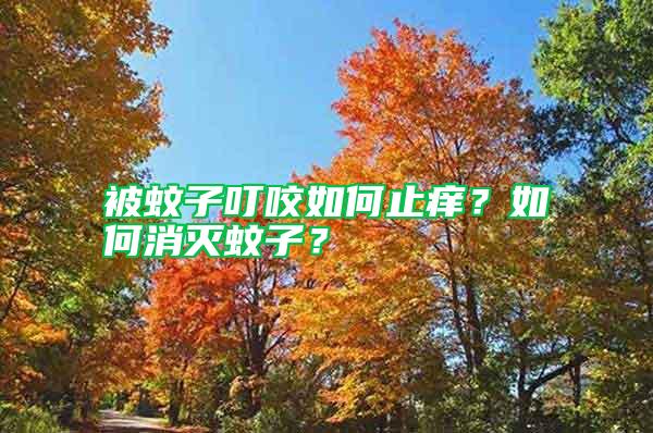 被蚊子叮咬如何止癢？如何消滅蚊子？