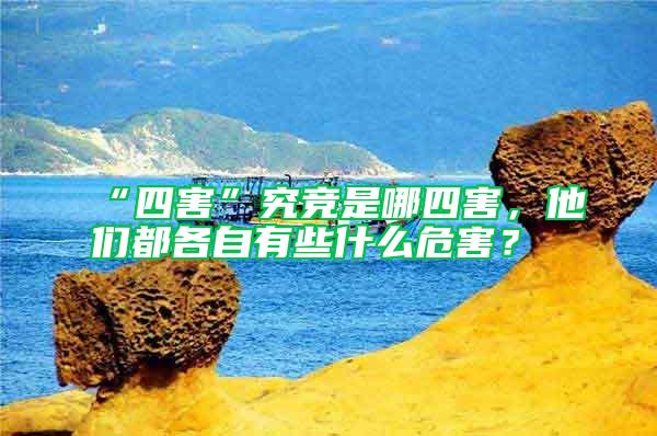 “四害”究競(jìng)是哪四害，他們都各自有些什么危害？