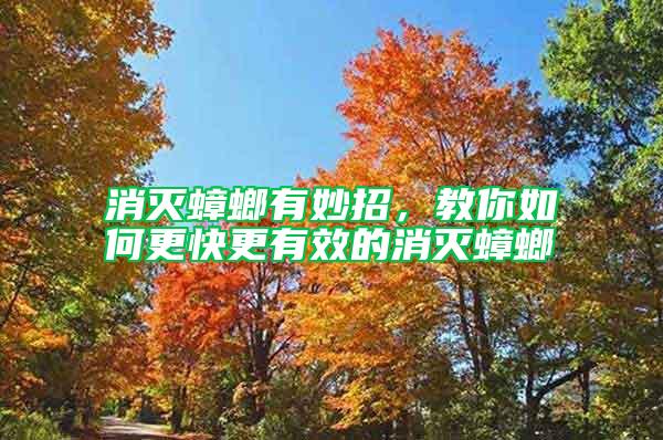 消滅蟑螂有妙招，教你如何更快更有效的消滅蟑螂