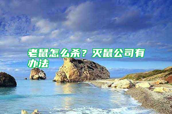 老鼠怎么殺？滅鼠公司有辦法