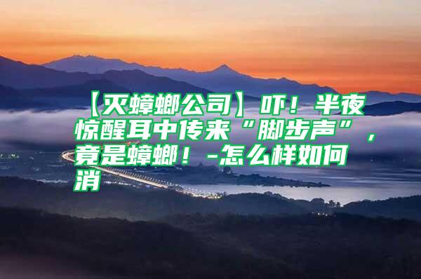 【滅蟑螂公司】嚇！半夜驚醒耳中傳來“腳步聲”，竟是蟑螂！-怎么樣如何消