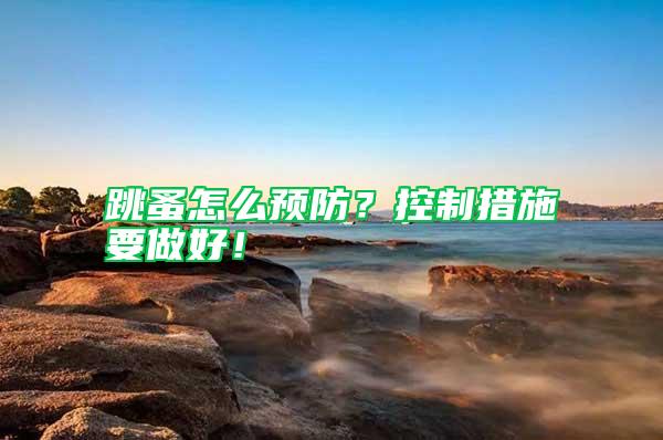 跳蚤怎么預(yù)防？控制措施要做好！