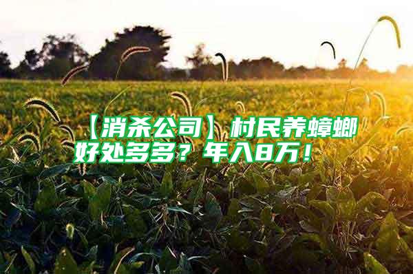 【消殺公司】村民養(yǎng)蟑螂好處多多？年入8萬！