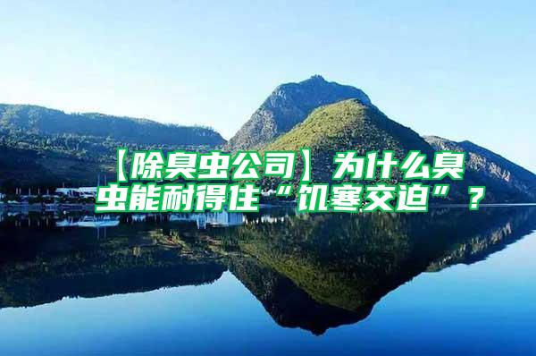 【除臭蟲公司】為什么臭蟲能耐得住“饑寒交迫”？