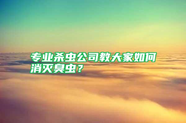 專業(yè)殺蟲公司教大家如何消滅臭蟲？