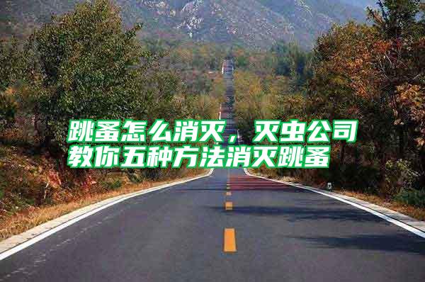 跳蚤怎么消滅，滅蟲公司教你五種方法消滅跳蚤