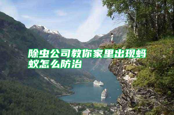 除蟲(chóng)公司教你家里出現(xiàn)螞蟻怎么防治