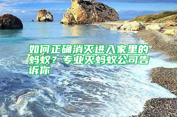 如何正確消滅進(jìn)入家里的螞蟻？專業(yè)滅螞蟻公司告訴你