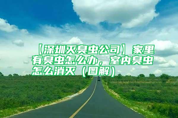 【深圳滅臭蟲公司】家里有臭蟲怎么辦,室內(nèi)臭蟲怎么消滅(圖解)