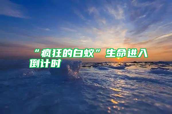 “瘋狂的白蟻”生命進(jìn)入倒計(jì)時(shí)