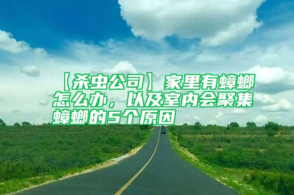 【殺蟲公司】家里有蟑螂怎么辦,以及室內(nèi)會(huì)聚集蟑螂的5個(gè)原因
