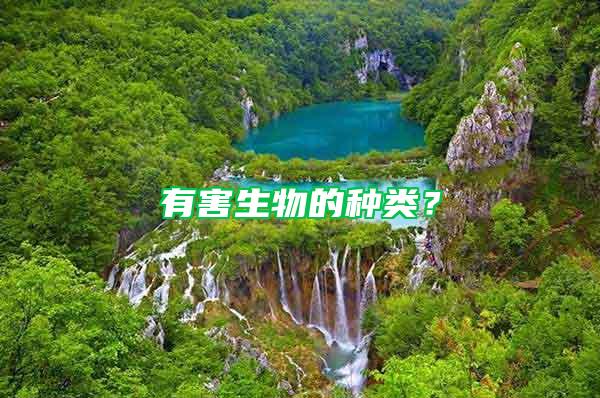 有害生物的種類？