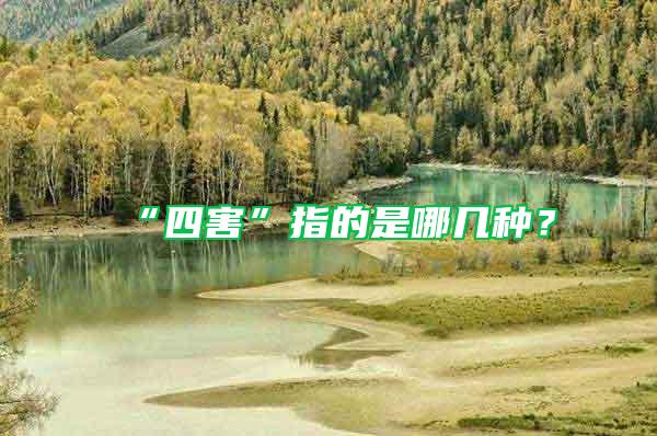 “四害”指的是哪幾種？