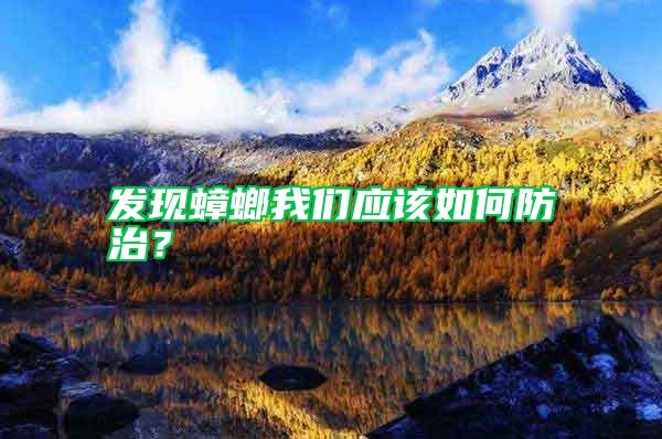 發(fā)現(xiàn)蟑螂我們應該如何防治？