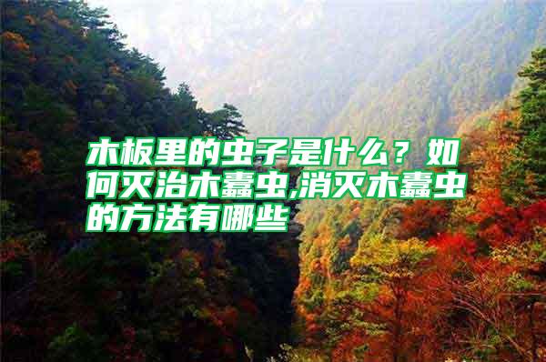 木板里的蟲子是什么？如何滅治木蠹蟲,消滅木蠹蟲的方法有哪些