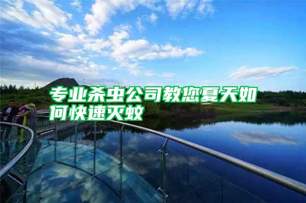 專業(yè)殺蟲公司教您夏天如何快速滅蚊