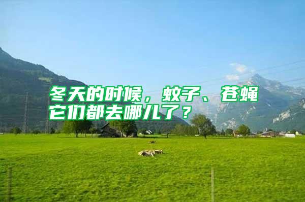 冬天的時候，蚊子、蒼蠅它們都去哪兒了？