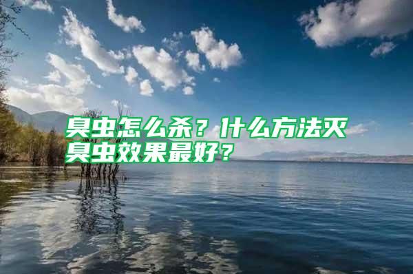 臭蟲怎么殺？什么方法滅臭蟲效果最好？