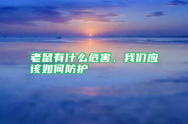 老鼠有什么危害，我們應(yīng)該如何防護(hù)