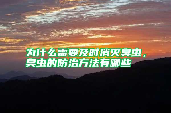 為什么需要及時消滅臭蟲，臭蟲的防治方法有哪些