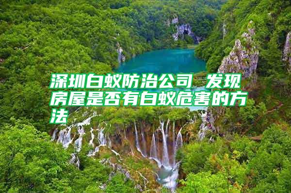 深圳白蟻防治公司 發(fā)現(xiàn)房屋是否有白蟻危害的方法