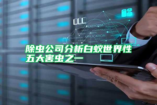 除蟲(chóng)公司分析白蟻世界性五大害蟲(chóng)之一