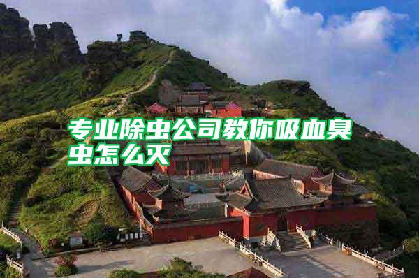 專(zhuān)業(yè)除蟲(chóng)公司教你吸血臭蟲(chóng)怎么滅