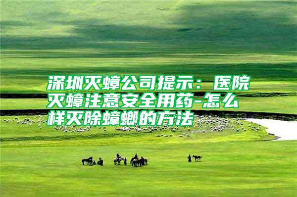 深圳滅蟑公司提示:醫(yī)院滅蟑注意安全用藥-怎么樣滅除蟑螂的方法