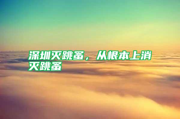 深圳滅跳蚤，從根本上消滅跳蚤