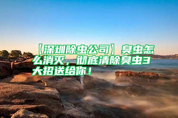【深圳除蟲公司】臭蟲怎么消滅，徹底清除臭蟲3大招送給你！