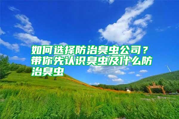 如何選擇防治臭蟲公司？帶你先認識臭蟲及什么防治臭蟲