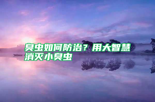 臭蟲如何防治？用大智慧消滅小臭蟲