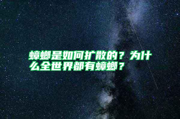 蟑螂是如何擴(kuò)散的？為什么全世界都有蟑螂？