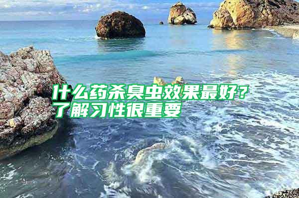 什么藥殺臭蟲效果最好？了解習(xí)性很重要