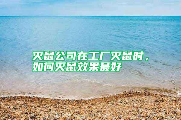 滅鼠公司在工廠滅鼠時(shí)，如何滅鼠效果最好