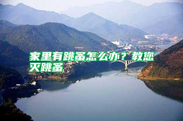 家里有跳蚤怎么辦？教您滅跳蚤