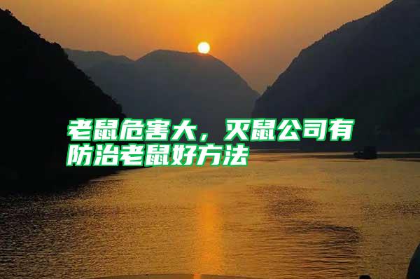 老鼠危害大，滅鼠公司有防治老鼠好方法