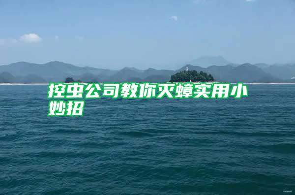 控蟲公司教你滅蟑實(shí)用小妙招