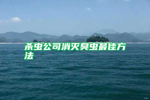 殺蟲(chóng)公司消滅臭蟲(chóng)最佳方法