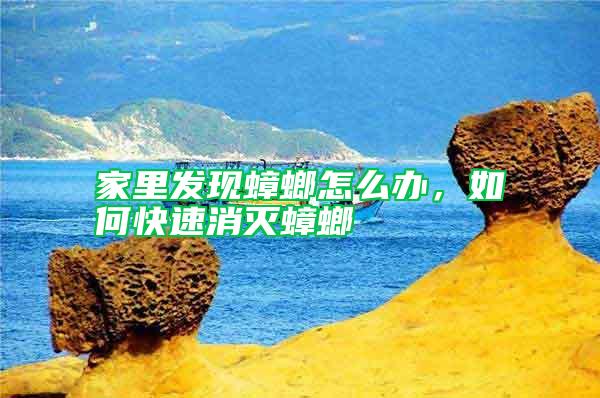 家里發(fā)現(xiàn)蟑螂怎么辦，如何快速消滅蟑螂