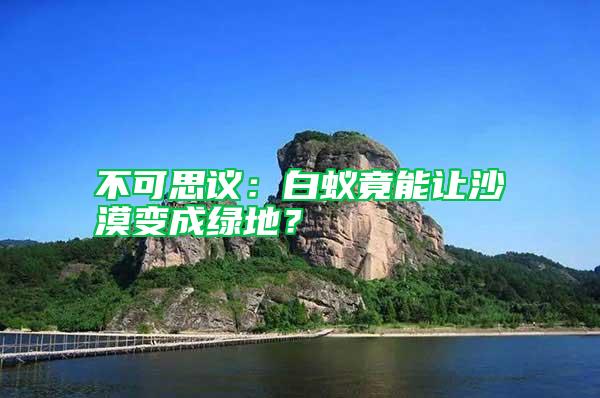 不可思議：白蟻竟能讓沙漠變成綠地？