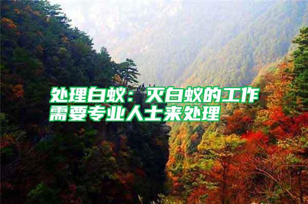 處理白蟻:滅白蟻的工作需要專業(yè)人士來(lái)處理