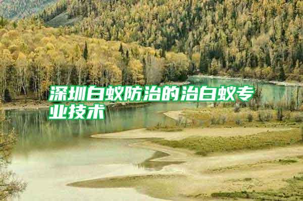 深圳白蟻防治的治白蟻專業(yè)技術
