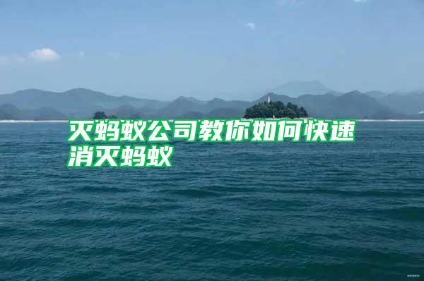 滅螞蟻公司教你如何快速消滅螞蟻