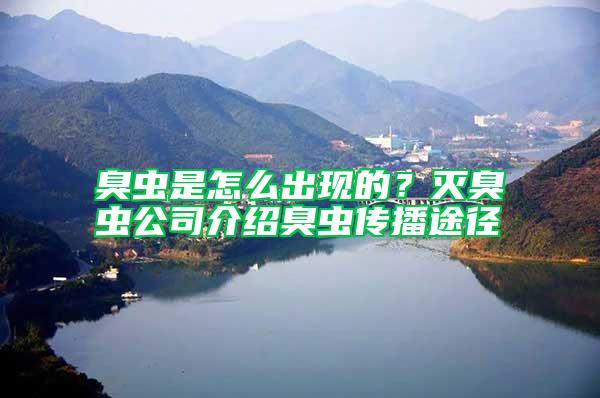 臭蟲是怎么出現(xiàn)的？滅臭蟲公司介紹臭蟲傳播途徑